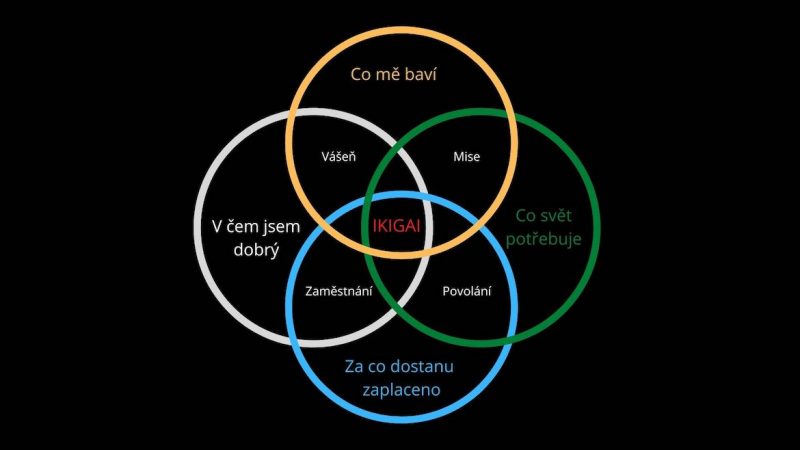 ikigai
